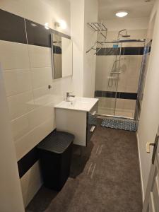 La salle de bains est pourvue d'un lavabo et d'une douche. dans l'établissement F2 neuf tout confort proche Epinal/ lac de Bouzey, à Uxegney