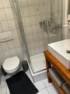 a bathroom with a shower and a toilet and a sink at Ferienwohnung Forchtenberg in Forchtenberg