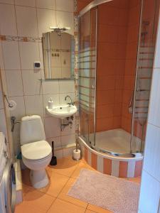 La salle de bains est pourvue d'une douche, de toilettes et d'un lavabo. dans l'établissement Witkowska-nocleg, à Wrocław