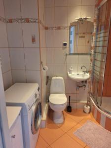 弗次瓦夫的住宿－Witkowska-nocleg，一间带洗衣机和卫生间的浴室