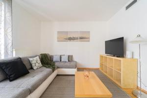 uma sala de estar com um sofá e uma televisão em Budapest Central Home with Parking&Terrace em Budapeste