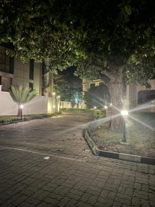 a street at night with a tree and lights at Hello sunshine in Dar es Salaam