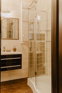 シュクラルスカ・ポレンバにあるApartament 7のバスルーム(シャワー、シンク付)