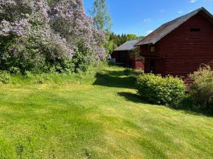 czerwona stodoła na polu zielonej trawy w obiekcie Åsen w mieście Årjäng