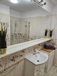 a bathroom with a sink and a shower at Apartament Stay with Gdynia in Gdynia