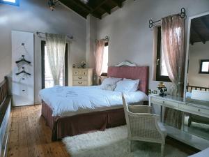 a bedroom with a bed and a desk and a sink at Amadrias Villa Florina in Florina