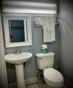 ein Badezimmer mit einem WC, einem Waschbecken und einem Spiegel in der Unterkunft Hotel Regency Inn in San Antonio