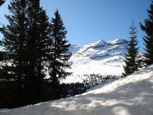 einen schneebedeckten Berg mit Bäumen im Vordergrund in der Unterkunft Chalet De L'arbaron - Studio pour 4 Personnes 92 in Flaine