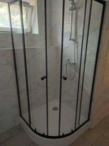 um chuveiro com uma porta de vidro na casa de banho em Naše chalupa em Stará Červená Voda