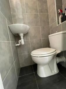 łazienka z toaletą i umywalką w obiekcie Studio paisible Paris 20 w Paryżu