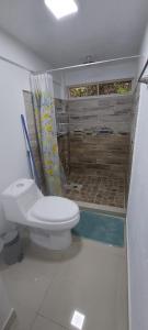 a bathroom with a toilet and a shower at Corcovado & Drake Inn in Drake