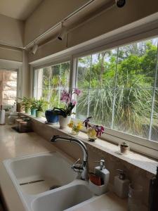 a kitchen with a sink and a window with potted plants at בית גלילי על נוף פסטורלי in ‘Ilūṭ