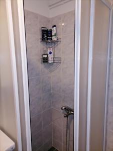 La salle de bains est pourvue d'une douche et de 2 étagères. dans l'établissement Mima studio, à Kragujevac