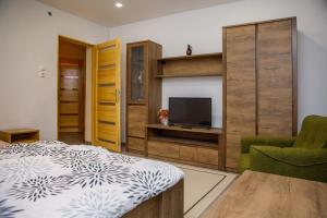 a living room with a bed and a television at Biró apartmanház Sármellék in Sármellék