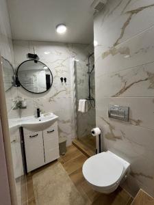 a bathroom with a toilet and a sink and a mirror at Apartman Orchid in Plitvička Jezera +19 photos