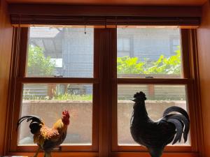 dos pollos están parados en una ventana en Alberta Arts Craftsman ADU en Portland