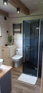 a bathroom with a toilet and a glass shower at Domek Skitnica in Mirsk