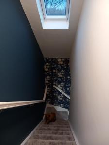 恩尼斯的住宿－The Irish Highlands Haven，天窗下躺在楼梯上的狗