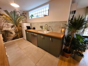 una cocina con fregadero y una barra con plantas en Loft CAPUCINE au calme avec jardins 70m2 en Montreuil