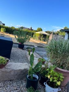 Κήπος έξω από το Haus Carolin