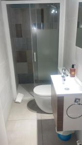La salle de bains est pourvue d'une douche, de toilettes et d'un lavabo. dans l'établissement Apartamentos Sierra, à Ezcaray