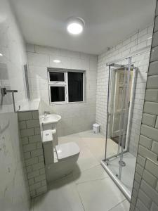 y baño con aseo, lavabo y ducha. en Kinsale B&B en Scilly