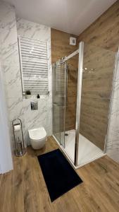 a bathroom with a shower and a toilet at Apartament Jasna Góra in Częstochowa