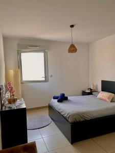 瑞維尼亞克的住宿－Magnifique T3 - Parking privé - Proche Montpellier & Business School，一间卧室设有两张床和窗户。