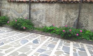 Un jardín fuera de Old Gate
