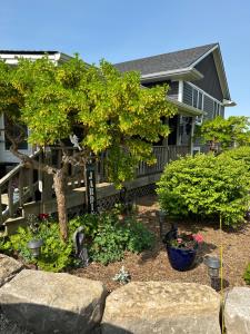 Zahrada ubytování MonJardin Bed and Breakfast