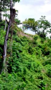 Paesaggio naturale nelle vicinanze dell'appartamento