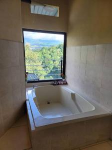 Fotografie z fotogalerie ubytování Suite Frente a la Cascada v destinaci Tierras Morenas