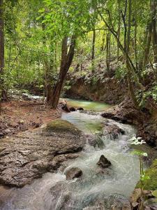 Paesaggio naturale nelle vicinanze dell'appartamento
