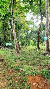 Paesaggio naturale nelle vicinanze dell'appartamento
