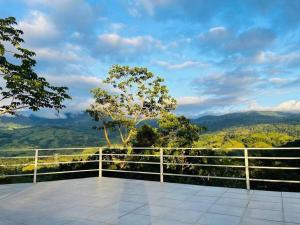 Paesaggio naturale nelle vicinanze dell'appartamento