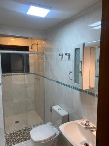 a bathroom with a shower and a toilet and a sink at Piemonte Flat Serra Negra in Serra Negra