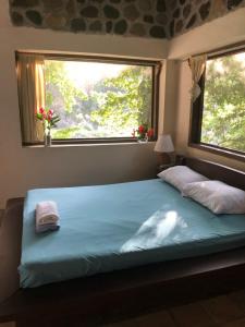 Voodi või voodid majutusasutuse Jungle River Lodge toas