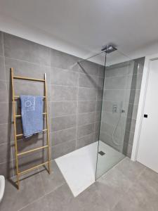 卡勒达德福斯特Hoy Caleta Apartments的带淋浴和玻璃门的浴室