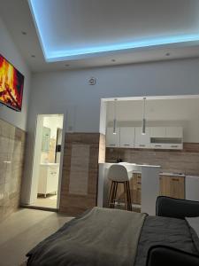 a bedroom with a bed and a kitchen with a counter at Central Apartments 3 in Zaječar
