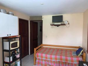 a bedroom with a bed and a tv on the wall at DOMAINE DE KANELLE A DESFARGES in Rivière-Pilote