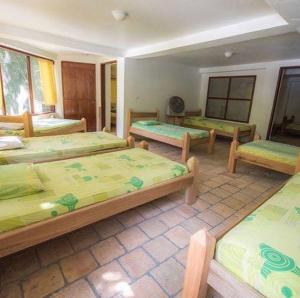 Voodi või voodid majutusasutuse Jungle River Lodge toas