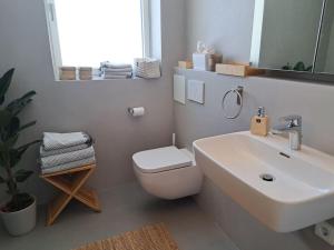 ein Badezimmer mit einem Waschbecken, einem WC und einem Spiegel in der Unterkunft Stilvolles Appartement in Kaufbeuren