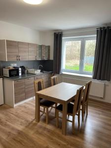 a kitchen with a table and chairs in a room at TVM Ostrava 1 in Ostrava