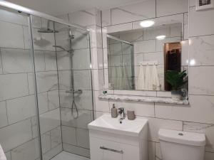 een badkamer met een douche, een toilet en een wastafel bij Spacious Elegant 2-BR Apartment in Aberdeen City Centre in Aberdeen