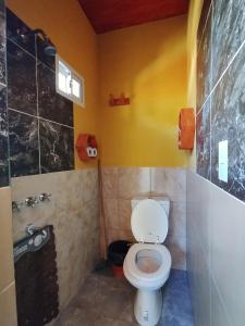 a bathroom with a toilet and a shower at Hospedaje Miguel in Maimará