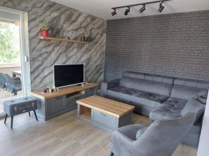 ein Wohnzimmer mit einem Sofa und einem TV in der Unterkunft Apartman Feniks in Plijeskovo