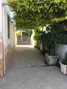 Imagen de la galería de Casa del glicine, en Rivabella