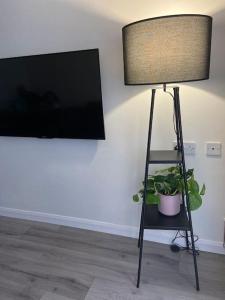 a lamp with a potted plant next to a tv at Cute house Littleover close to amenities hospital in Derby