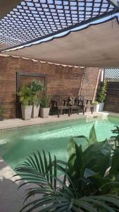 a swimming pool with plants and an umbrella at Jardin Imperial in Mexicali