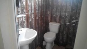 uma casa de banho com um WC e um lavatório em Guest House Batumi em Batumi